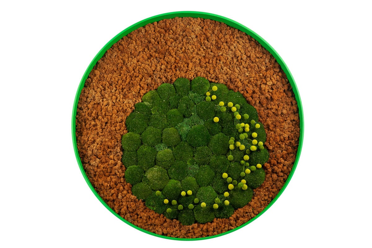 Muschio e Lichene Stabilizzato per Composizioni - Officina verde design